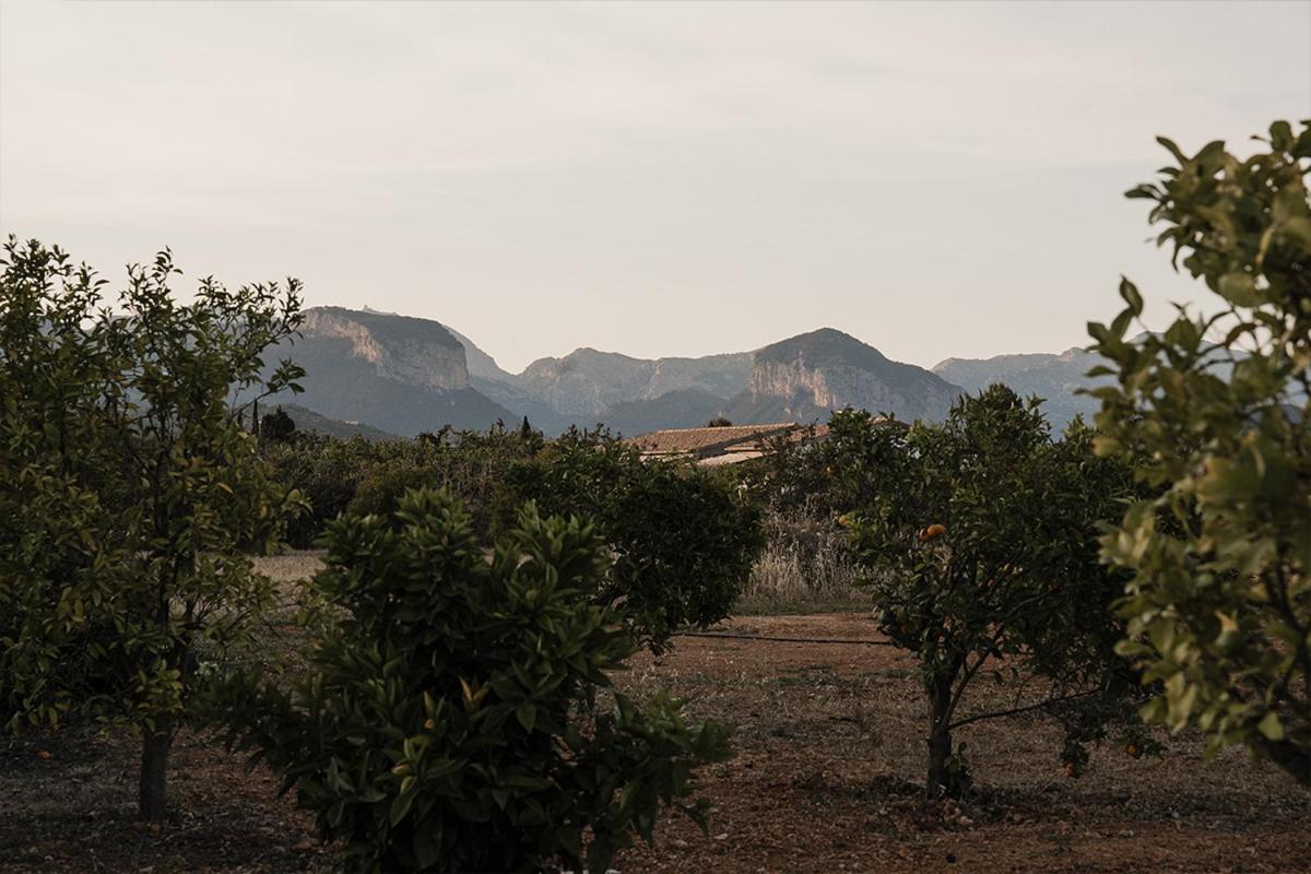 La Farm Baleares (adults Only)