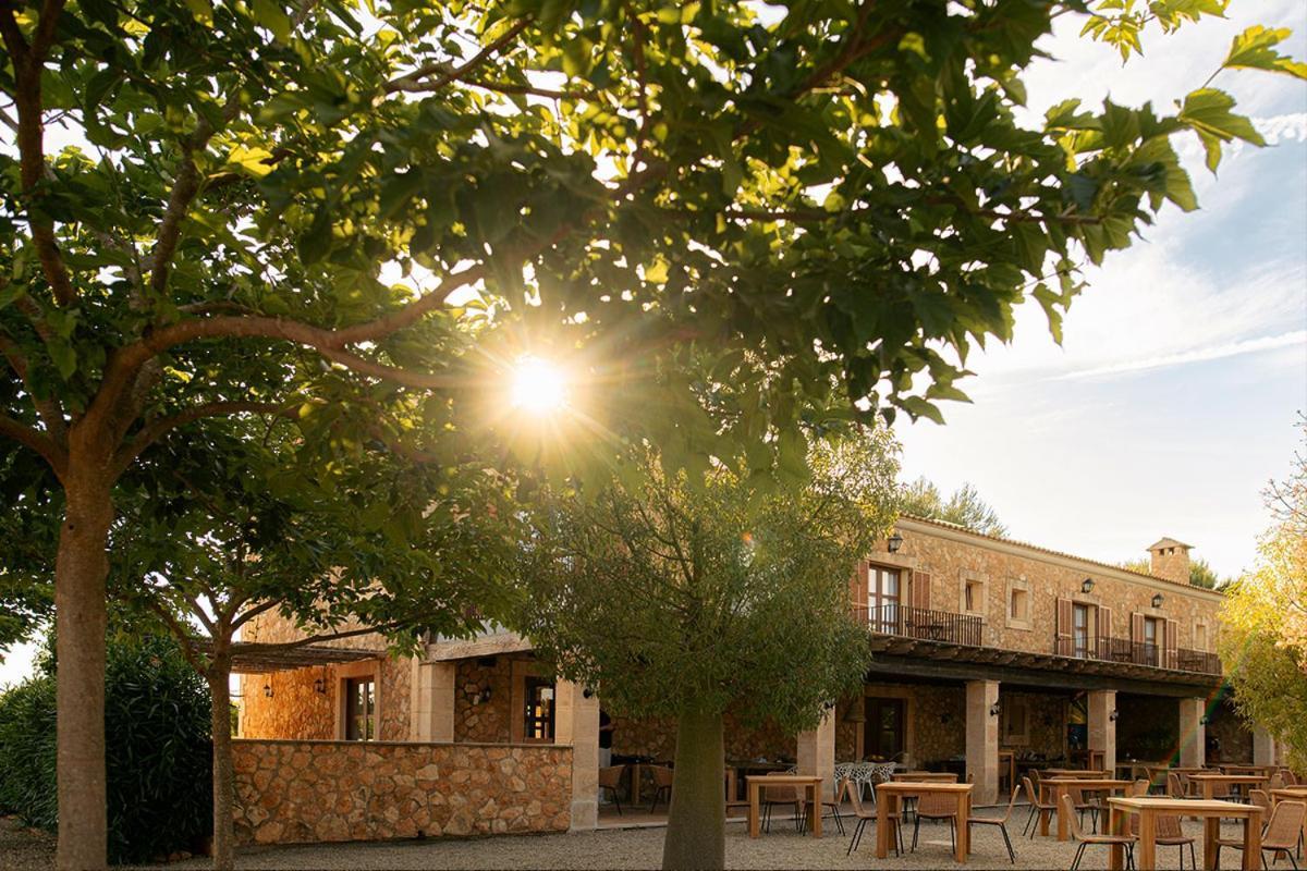 Bed & Breakfast La Farm Baleares (adults Only)